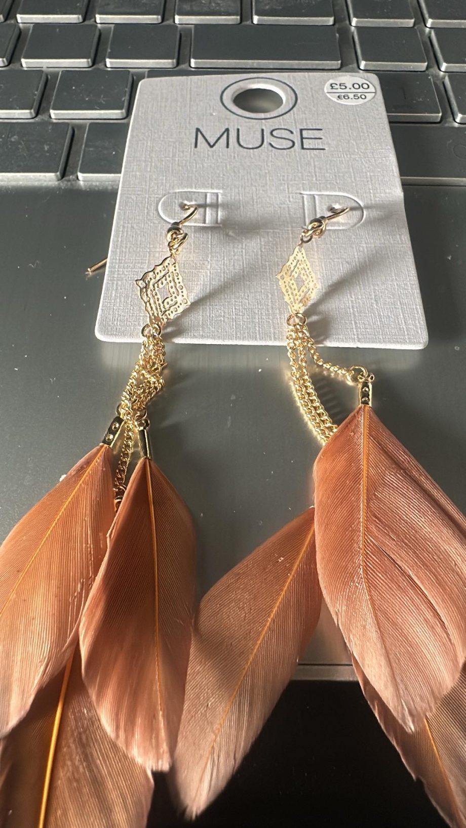 Earrings
